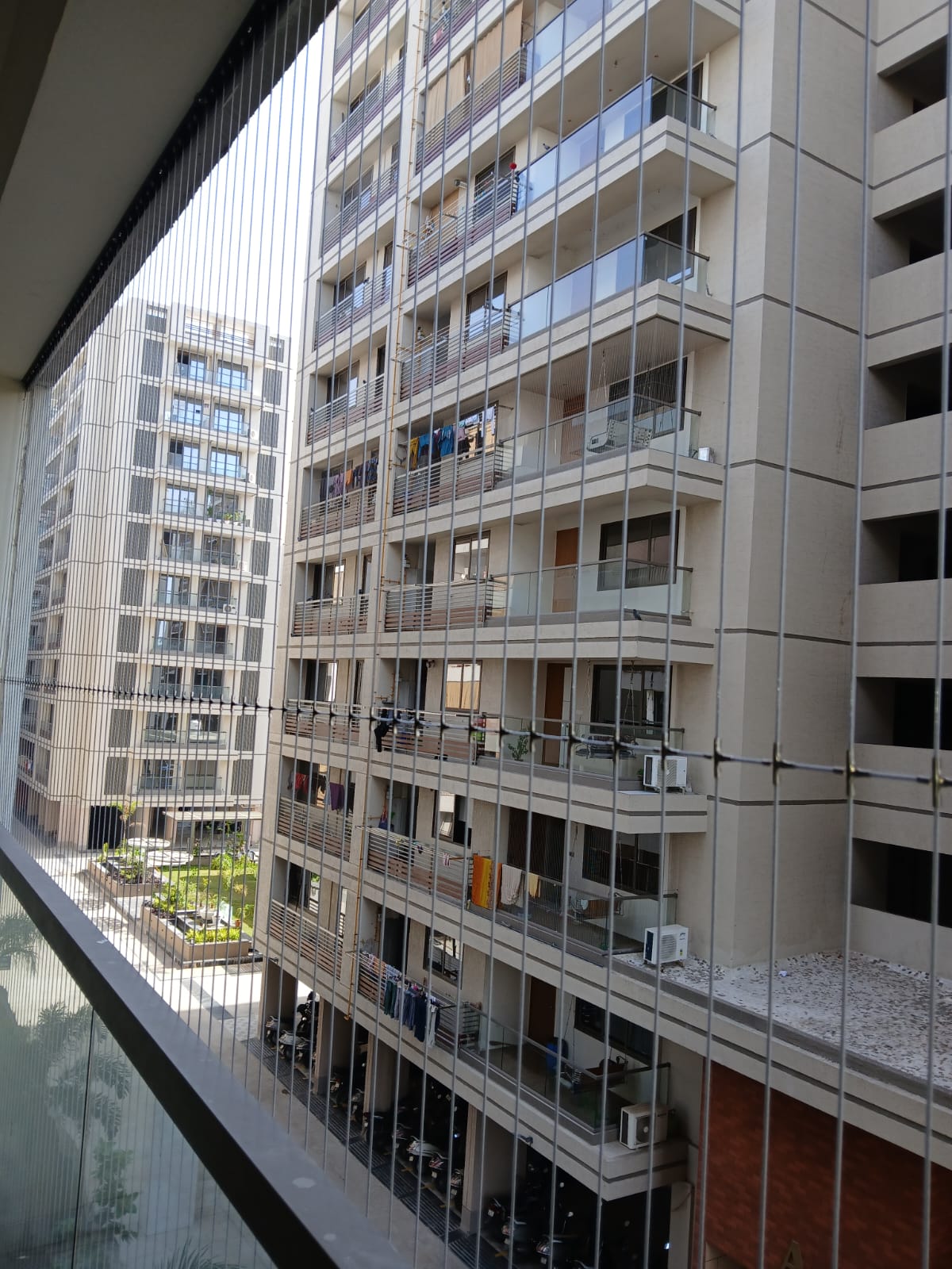 Commercial bird control system