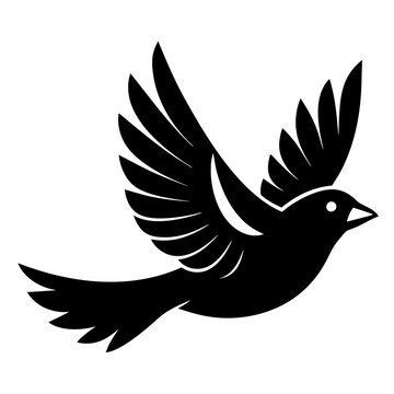 Dawrkesh Bird Nets Logo